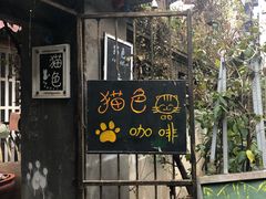 -猫色咖啡·猫咖