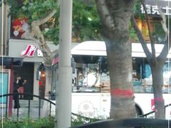 -锦江之星(西安大雁塔小寨地铁站店)