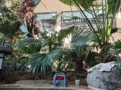 -郑州银基黄帝宫御温泉