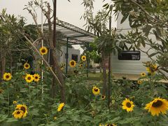 -广州市紫泥堂文化创意园景区