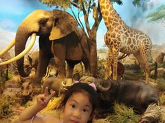 -陕西自然博物馆