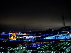 -紫颐香薰山谷景区