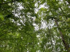 -桤木河湿地公园