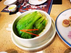 白灼意大利生菜-点都德(北京路贰店)