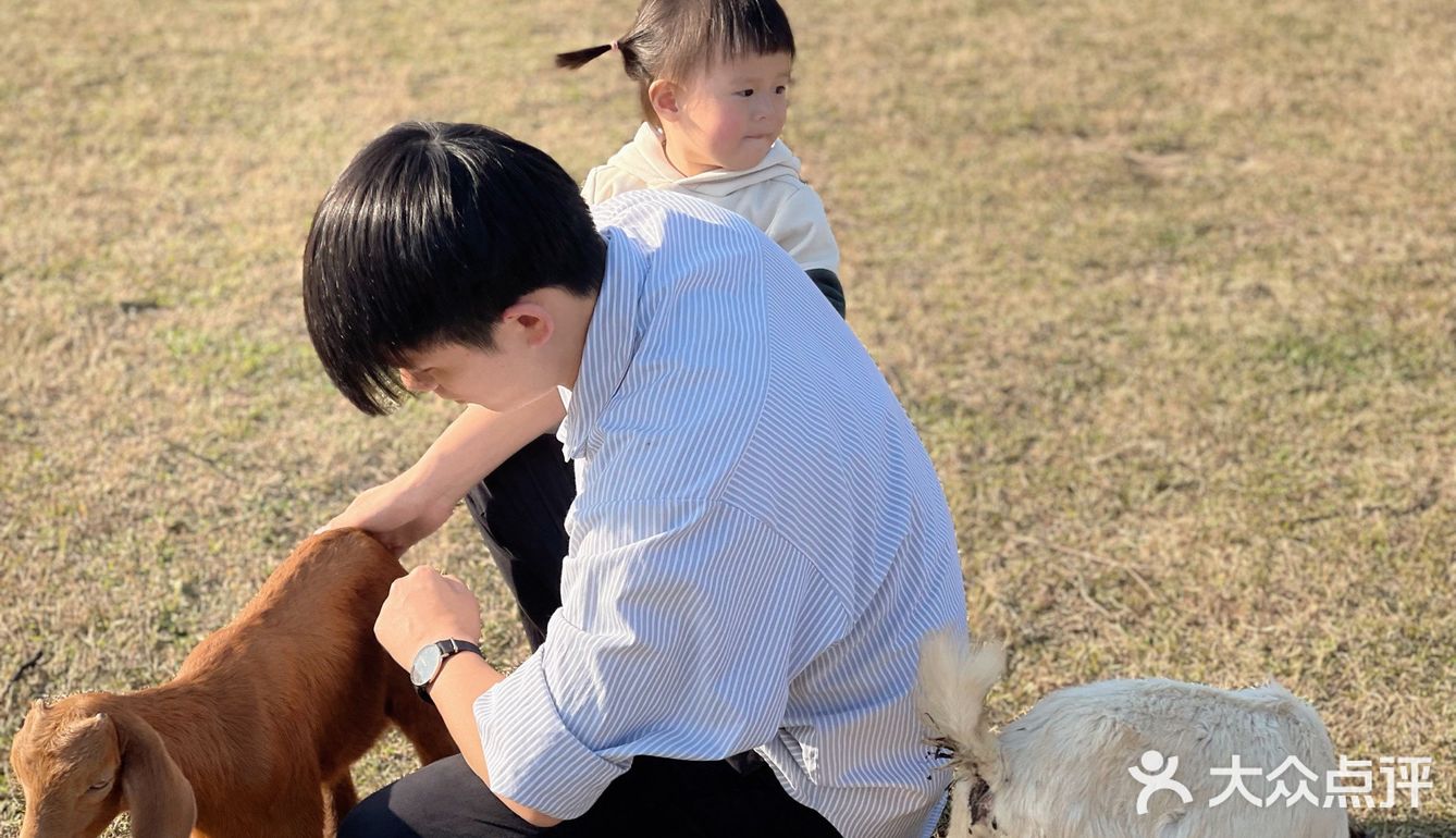 南昌拍照📸打卡 | 江滩上的羊咩咩🐏