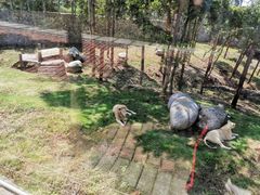 -泉州海丝野生动物世界