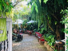 景观位-Fern Forest Cafe