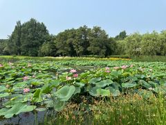 -棋盘山风景区