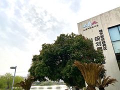 -九里河湿地公园