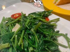 马来风光-滕记星发餐室·新加坡菜(巨鹿路店)