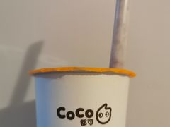 鲜芋青稞醇牛奶-CoCo都可(健翔桥店)