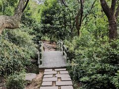 -宝界山林公园