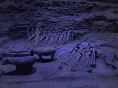 -汉景帝阳陵博物院