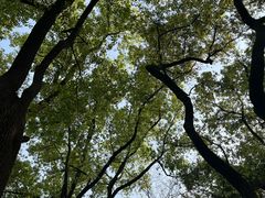 -徐家汇源景区-衡山公园