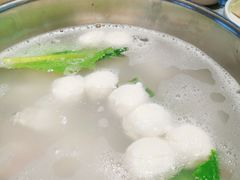 -淘米捞·米汤脆鲩鱼火锅(福田皇岗店)