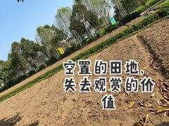 -百万葵园