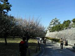 -名古屋城