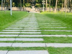 -重庆市江北嘴中央商务区中央公园