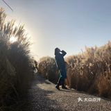 芦苇  风总是不闲着，吹谢了百花，吹落了秋叶