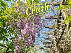 -华声天桥民俗文化园