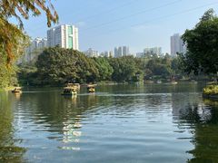 -晓港公园