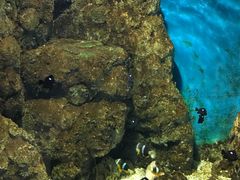 -福州罗源湾海洋世界旅游区