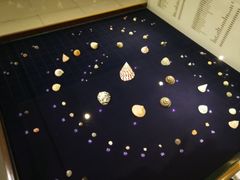 -青岛贝壳博物馆