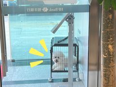 -恒丰银行(上海分行)