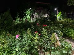 -双新垂钓园