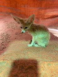 -酷嗒动物文化乐园(cutezoo西溪乐天城店)