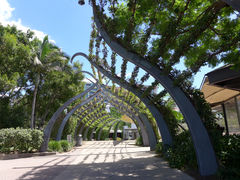 -布里斯班南岸公园