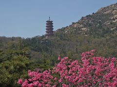-石岛赤山风景区
