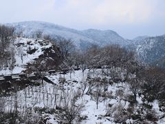 -四明山国家森林公园