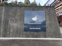 -怀托摩萤火虫洞