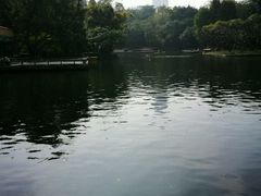 -晓港公园