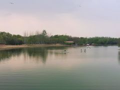 -大兴滨河森林公园