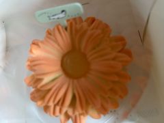 柑香雏菊-潮一不贰·法式甜品·生日蛋糕·西式简餐(外滩店)