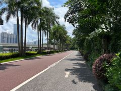 -南宁南湖公园