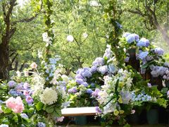 -名花谷生态庄园