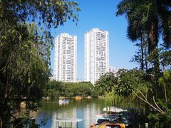 -金花茶公园