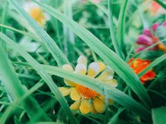 -湘邻呷铺·田园家宴(汉基广场店)