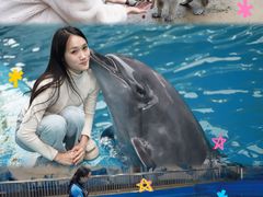 -石林冰雪海洋世界