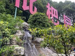-枇杷园食为鲜火锅(南山店)