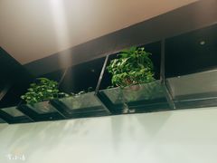 大堂-北斗星(和平店)
