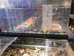 -欢乐牧场海鲜烤肉自助(牡丹园店)