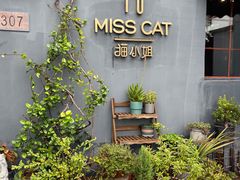 -IFIF 如果花園(宽厚里店)