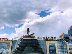 -成都浩海立方海洋公园