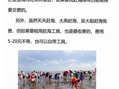 -红树林天天赶海