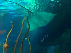 -沈阳海洋探索中心