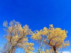 -新疆国际大巴扎